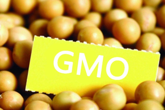 GMO foods